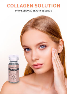 OEM/OBM Stalidearm Skin Care Essence Collagen Anti Wrinkle Hydrating Face Serum Private Label