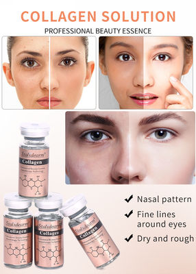 OEM/OBM Stalidearm Skin Care Essence Collagen Anti Wrinkle Hydrating Face Serum Private Label