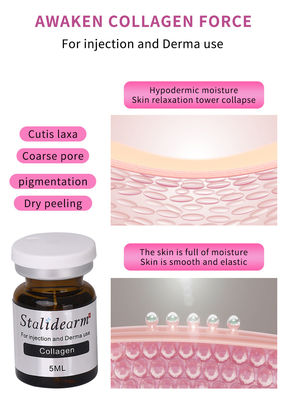 Skin Care Anti Wrinkle Collagen Facial Filler Serum Facial Hyaluronic Acid Anti Aging Mesotherapy Serum Injection