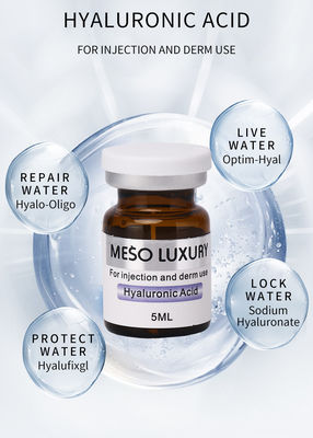 Private Label Injectable Hyaluronic Acid Exosomes Serum Skin Booster Mesotherapy Injection