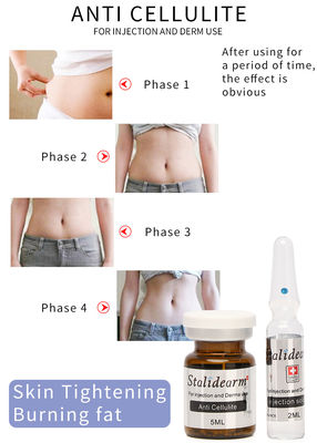 France Brand Stalidearm Skin Booster Mesotherapy Anti Cellulite Slimming Injectable Meso Solution