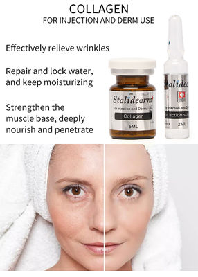 Injectable Collagen Mesotherapy Solution Exosome Skin Booster Dermal Filler