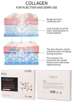 Injectable Collagen Mesotherapy Solution Exosome Skin Booster Dermal Filler