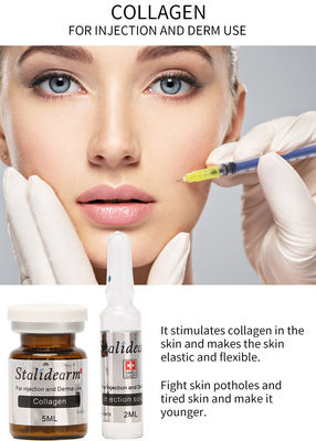 Injectable Collagen Mesotherapy Solution Exosome Skin Booster Dermal Filler