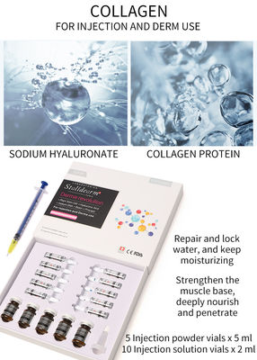 Injectable Collagen Mesotherapy Solution Exosome Skin Booster Dermal Filler