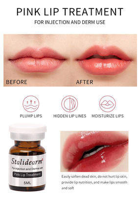 Wholesale Stalidearm Original Brand  Pink Lip Treatment Injection Serum Safe Essence Meso Therapy Set 5pcs/Set