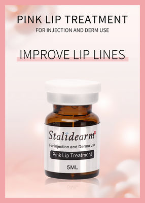 Wholesale Stalidearm Original Brand  Pink Lip Treatment Injection Serum Safe Essence Meso Therapy Set 5pcs/Set